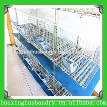 large scale poultry used rabbit cages for sale